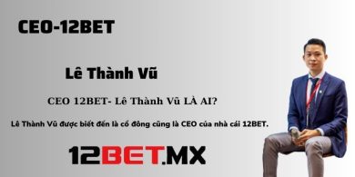 CEO-Le-Thanh-Vu